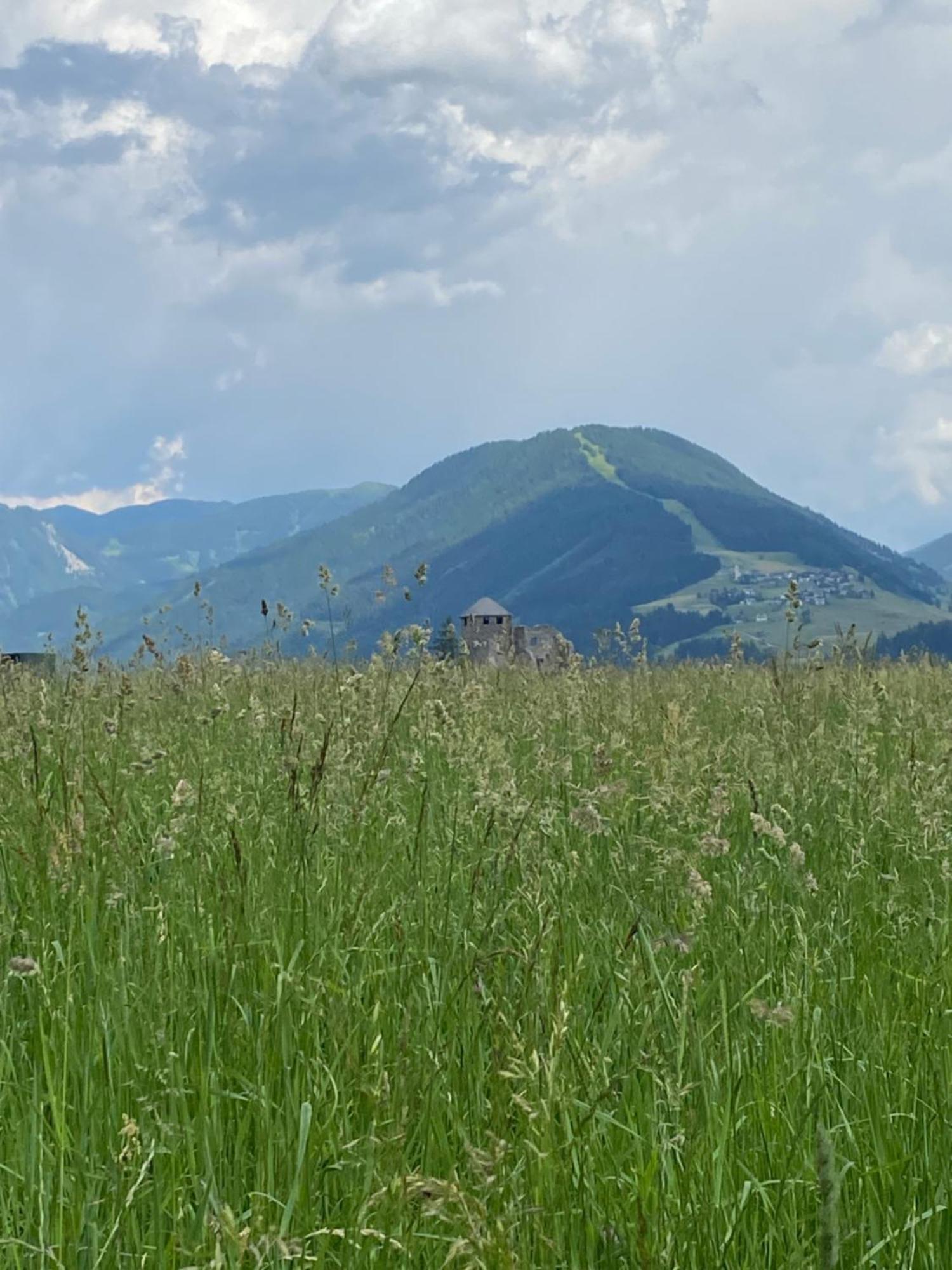 Ferienwohnungen Peisserhof Sillian Exteriér fotografie