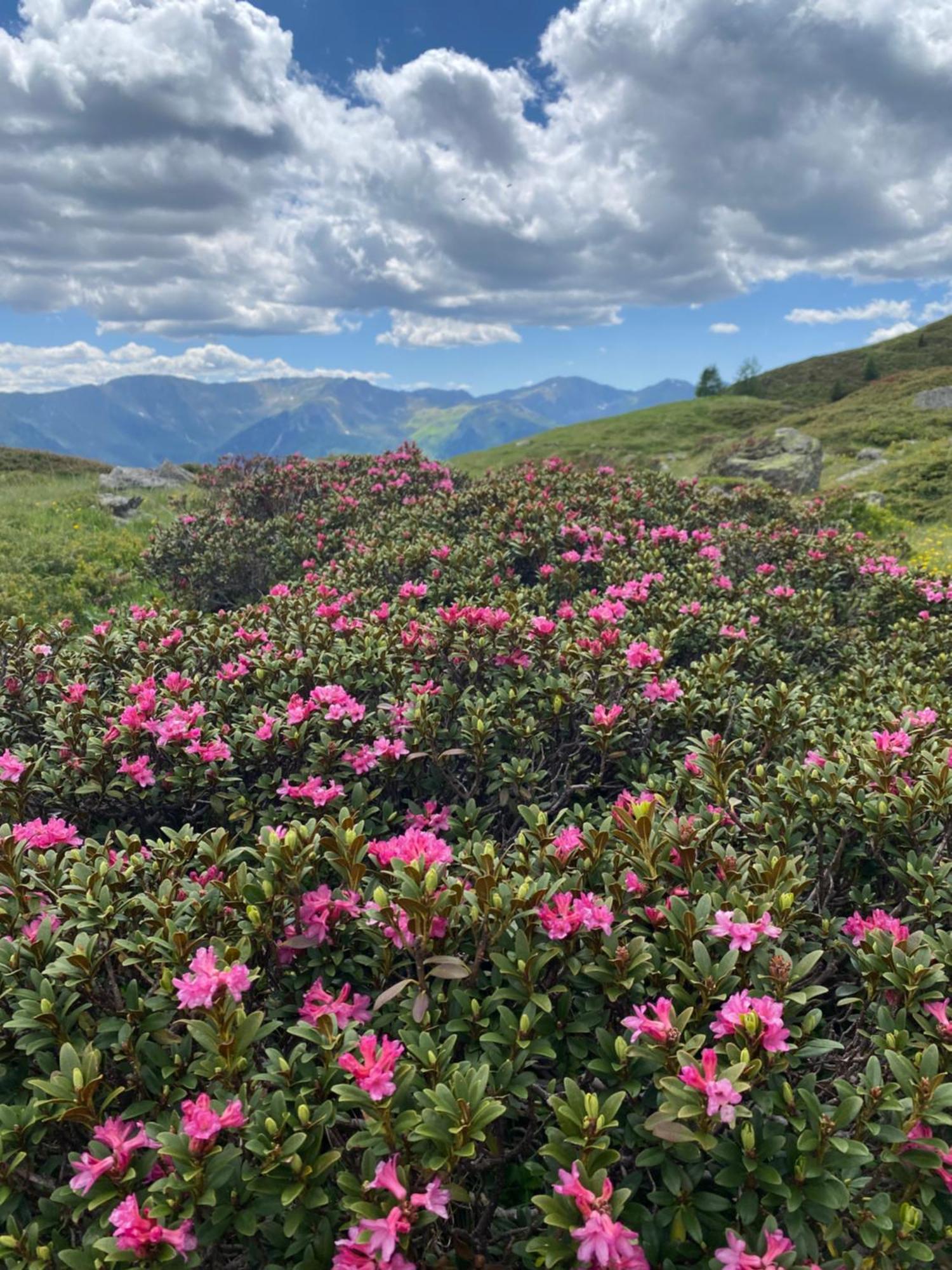Ferienwohnungen Peisserhof Sillian Exteriér fotografie